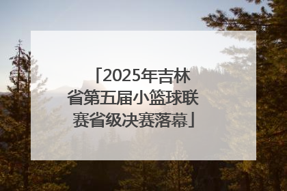 2025年吉林省第五届小篮球联赛省级决赛落幕
