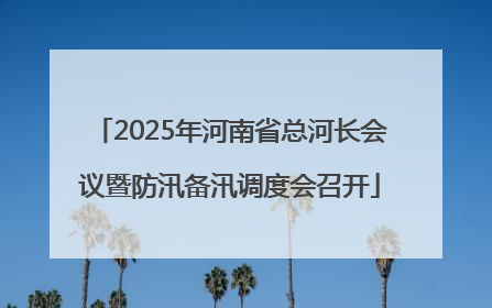 2025年河南省总河长会议暨防汛备汛调度会召开