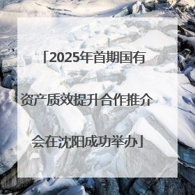 2025年首期国有资产质效提升合作推介会在沈阳成功举办