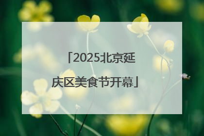 2025北京延庆区美食节开幕