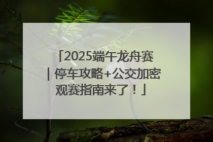 2025端午龙舟赛｜停车攻略+公交加密 观赛指南来了！
