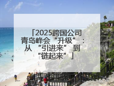 2025跨国公司青岛峰会“升级”：从 “引进来” 到 “链起来”
