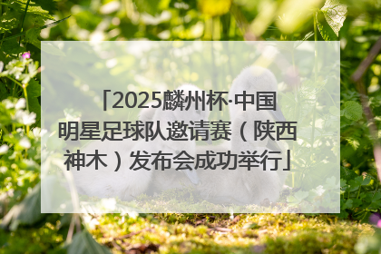 2025麟州杯·中国明星足球队邀请赛（陕西神木）发布会成功举行