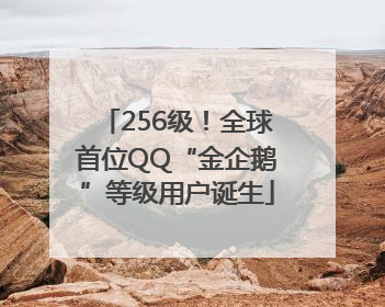 256级！全球首位QQ“金企鹅”等级用户诞生