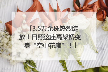 3.5万余株热烈绽放！日照这座高架桥变身“空中花廊”！
