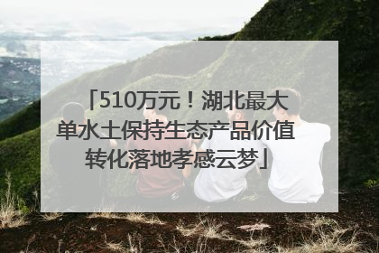 510万元！湖北最大单水土保持生态产品价值转化落地孝感云梦