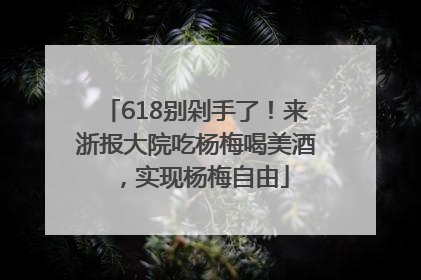 618别剁手了！来浙报大院吃杨梅喝美酒，实现杨梅自由