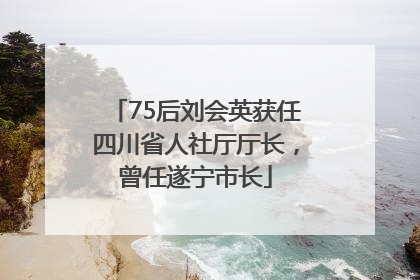 75后刘会英获任四川省人社厅厅长，曾任遂宁市长