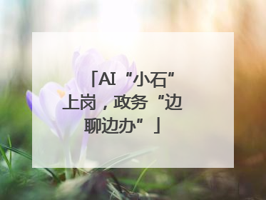 AI“小石”上岗，政务“边聊边办”