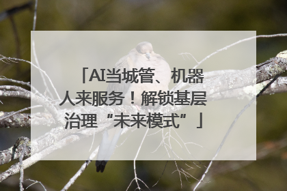 AI当城管、机器人来服务！解锁基层治理“未来模式”