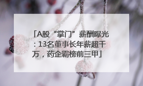 A股“掌门”薪酬曝光：13名董事长年薪超千万，药企霸榜前三甲
