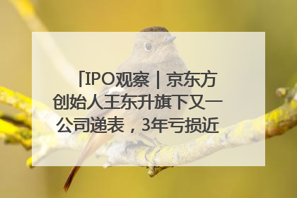 IPO观察｜京东方创始人王东升旗下又一公司递表，3年亏损近50亿元，近8成收入来自同一客户