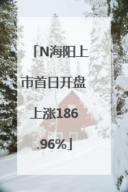 N海阳上市首日开盘上涨186.96%