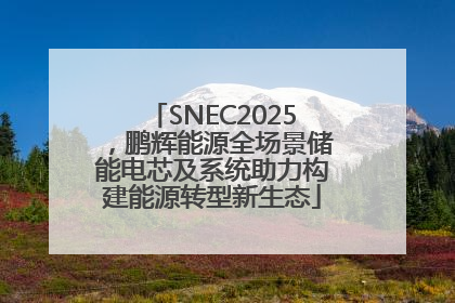 SNEC2025，鹏辉能源全场景储能电芯及系统助力构建能源转型新生态